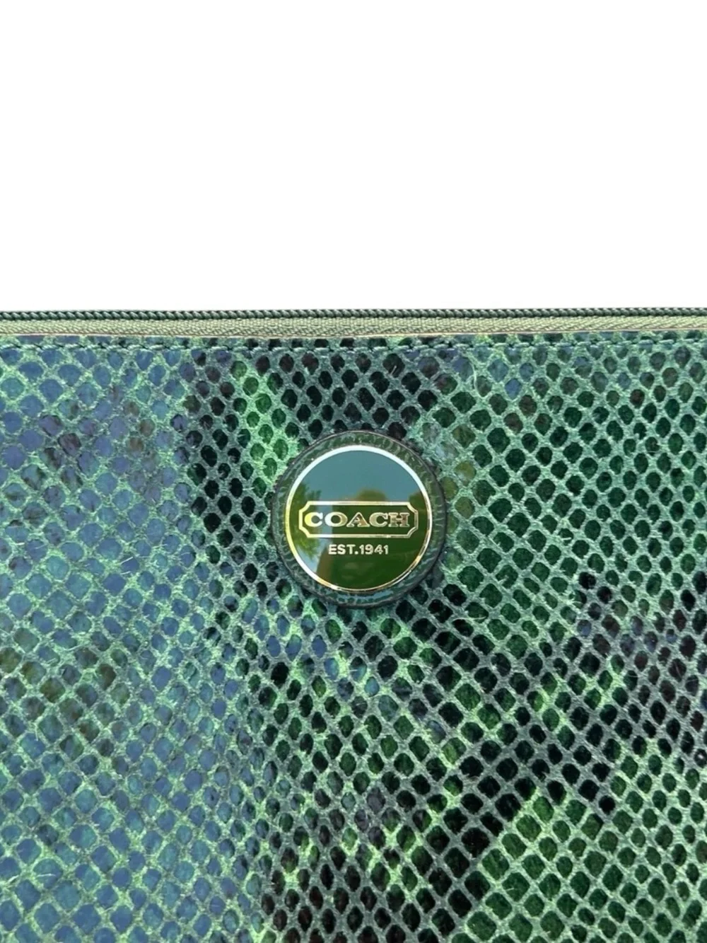 ✨💎RARE💎✨NWOT COACH 1941 Python Green & Black Wristlet Clutch w/ Hangtag.